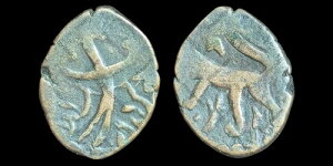 �C�X����������̃A�t�K�j�X�^���B�V�r�b�N���݁B�t�@���X�E�J�u�[���AAH1285�R�C��