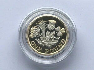 Simply-Coins~ 2021�N �v���[�t���� 1�|���h�R�C�� �E�~���d�グ ��