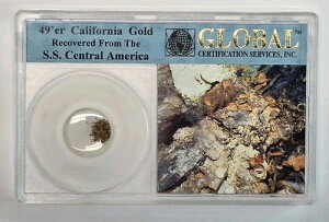 49'er California Gold S.S. Central America ���v�D GCS �X���u�ł̉��