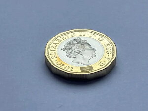 Simply Coins ~ 2020 �v���[�t���� 1�|���h�R�C�� ���t�e�B ���t�e�B