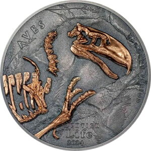 AVES Evolution of Life 1�I���X �V���o�[�R�C�� 500�g�O���O �����S�� 2024-