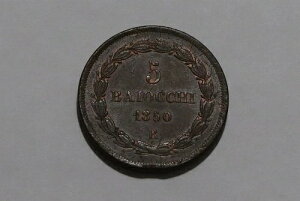 ?? ???? �o�`�J�����c�� 5 �o�C�I�b�L 1850 �V���[�v�f�B�e�[�� B84 #K3809