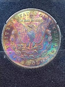 1881�N cc �����K���E�_���[ GSA NGC ms64 ���C���{�[�g�[�� �����X�^�[�I���ACOA