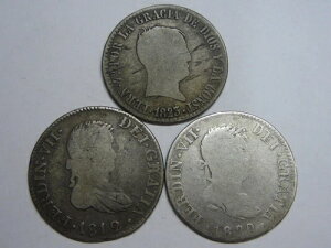 1812-1810-1823 �J�^���[�j�� �}�h���[�h �Z�r���A 2 ���A�� �t�F���f�B�i���h7�� ���b�g3 �R�C�� �R���j�A��
