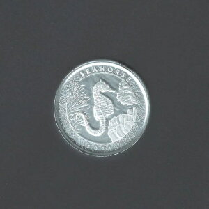 2���̃R�C���Z�b�g�A2021�N 2�^���V�[�z�[�X - �T���A�̖@��ʉ� �V���o�[�v���[�t�A1�g���C�I���X