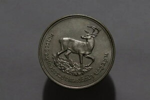 ?? ???? �^�C 100�o�[�c 1974�N �V���o�[ �쐶�����ی� B84 #K1005