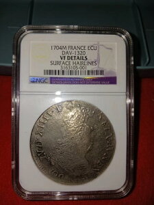 1704-1709 �t�����X ECU DAV 1320 NGC VF �\�ʂ̃w�A���C���̏ڍׁB�d�ˑł��B