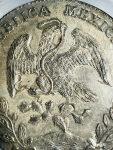 1894-Mo 8 Reales AM ���L�V�R �V���o�[�L���b�v�����C�Y ANACS MS64 �g�i�[