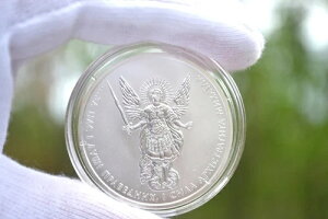 ��V�g�~�J�G�� 0.999 �V���o�[ �E�N���C�i 2017 1�I���X BU �V���o�[�R�C��