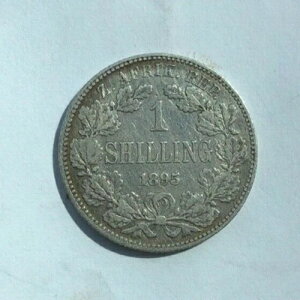 1895�N��A�t���J1�V�����O���