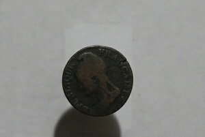 ?? �t�����X 5 �Z���`���[�g�� LAN 4 ���{�����[�V���� �R�C���G�[�W B50 #K6682