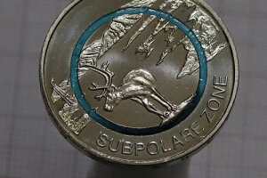 ?????? �h�C�c 5 EURO 2020 F �|���}�[ ���Ƀ]�[�� B79 #Z8585