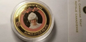 �_�C�A�i�܁A�����������̐S�̒��ɂ�������b�L�J���[�R�C�� G7�B