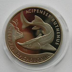 �W���`���E�U�� �X�^�[���b�g�A�E�N���C�i 2 UAH 2012 ���ޓ��������b�h�u�b�N Km# 688