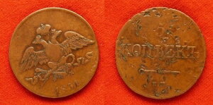 ���V�A�F5�R�y�C�J 1831 �E�M-�U�V VF�A�����̂ւ��݂��� ���� IR112644