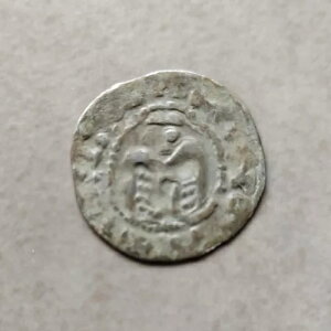 �i����̓����̔ے��