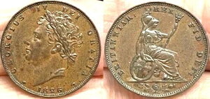 NICE CHOICE AU+ 1826 �C�M���X �t�@�[�W���O