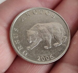 ??�N���A�`�A 5 Kuna 2006 XF BEAR - URSUS ARCTOS ??���ɒ��������t�B