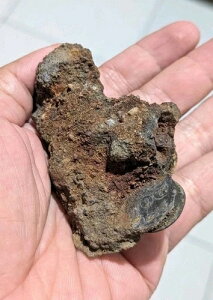 �{����Java Doit 1800 + VOC Gelderland 1700 In One Fossil Shipwreck Coin_Z47-