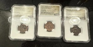 3 �k���C���h���� �t���N�V���i���E�X�g���C�o�[ �E�B���� 1 NGC �����X�p�C�X���� �����_�����t