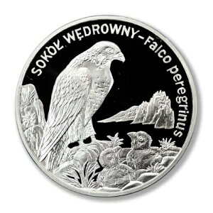 �|�[�����h�Y�n���u�T Falco peregrinus 20�Y�E�H�e�B�` 2008�N �v���[�t �V���o�[ �N���E��