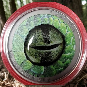 2021�N ���g�A�j�A������ 1�h����݁uDO YOU SEE ME' SNAKE EYE�v �d��15.56g