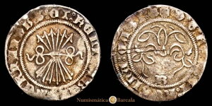 ���C�G�X�E�J�g���R�X 1/2���A��(1,6g)(1474-1504)�u���S�X AC-192 MBC-