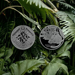 �x�����[�V 20���[�u�� 2023�N �X���B�`���W�����X�L�[���R�ی��B���}�l�A���