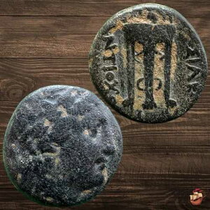 �Ñ�M���V���̃R�C�� - �Z���E�R�X�� - �A���e�B�I�R�X II �e�I�X - �A�|�� �T���f�X @p84