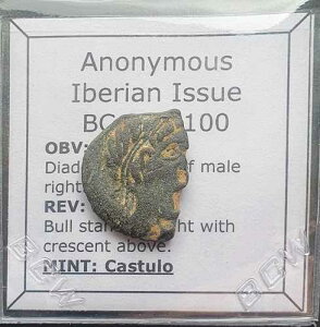 M515# �I���O200-100�N�A�C�x���A�����̃M���V���s�s�J�X�g�D�����s�̓�������