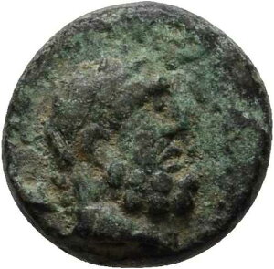 �s�V�f�B�A�� �Z���Q �u�����Y 12 mm/ 1,8 g �I���W�i�� �u���b�c�u���f�� �~�����c�F #KAS223