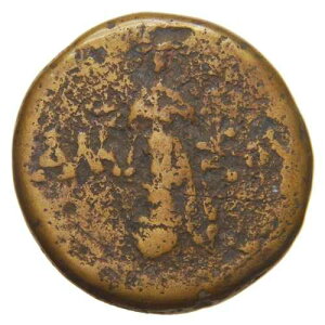�Ñ�M���V���i�A�~�\�X�A�|���g�X�j - �I���O100�N�� AE 20mm - �~�g���_�e�X6�� �G�E���v�g��