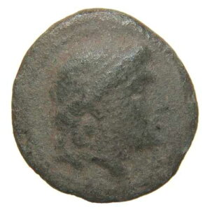 �Ñ�M���V���i�I�f�b�\�X�A�g���L�A�j - �I���O270�`250�N�� - AE 17mm - �������_
