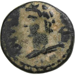 [#134740] �s�V�f�B�A�A�[�������A? ���j�b�g�A138-161�A�A���e�B�I�L�A�A�u�����Y�AF