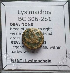 L639# �I���O306-300�N���̃����V�}�R�X���̃M���V�����}�P�h�j�A�ݕ�