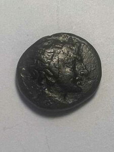 �y���E�}�P�h�j�A �L���O�M���V���R�C�� �A�e�j�A�ƃp�� 187-31BC (#6241)-