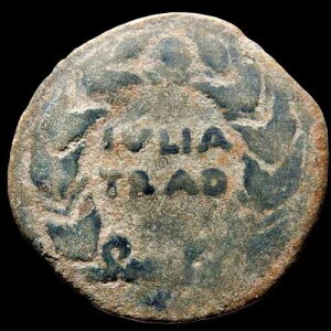 * ���Z���i�G * IVLia traducta algeciras �Ƃ��ẴA�E�O�X�g�D�X�A�J�f�B�X�A�I���O 15 �` 14 �N -