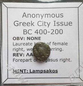 L602# �����v�T�R�X�̃M���V���s�s���s�̐��݁i�I���O400-200�N�j