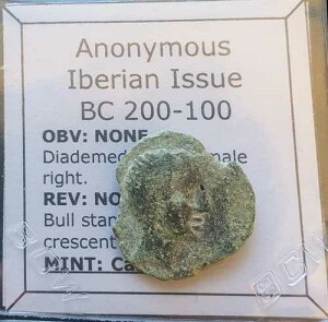 M522# �I���O200-100�N�A�C�x���A�����̃M���V���s�s�J�X�g�D�����s�̓�������