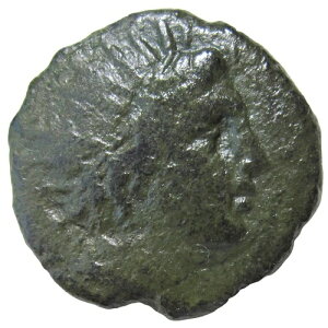 �}�P�h�j�A���L�BAE24�A�t�B���b�|�X5���i�I���O221-179�N�j�B�w���I�X/�T���_�[�{���g�B�󏭁B