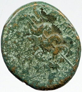 �~�V�A�̃y���K���� �{���̌Ñ� 150BC �M���V���R�C�� ASCLEPIUS SERPENT i119739