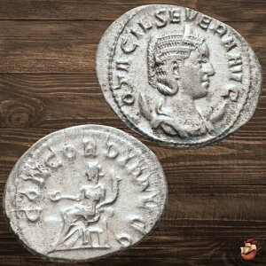 ���[�}�̃R�C�� - �A���g�j�j�A�k�X - �I�^�V���A �Z�x�� (244-249) CONCORDIA AVGG Rome @j939