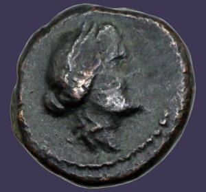 Archaios | �}�P�h�j�A �y�� �A�|�� / �O�r ��E��-��H�� | AE | 53.15