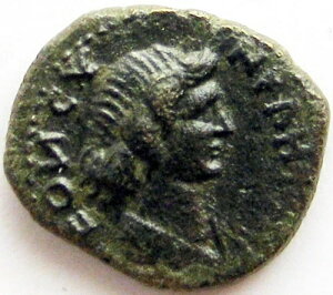 �A�|���j�X�A���f�B�A_�[���������s_�A���g�j�k�X����_����138-192�N_AE20