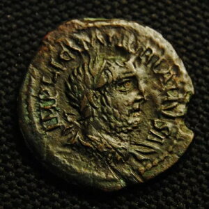?23 �A���N�T���h���A �g���A�X ���@�����A�k�X�� Rv COL AVG TRO 6.34 �O���� 23mm AD 253-60