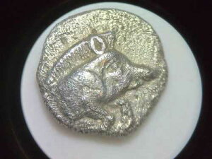 NGC �M���V����݃I�{���A�~���V�A�̃L���W�R�X�A���ƃ��C�I���A�I���O 5 ���I�A�O���[�h XF