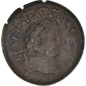 [#1067416] �R�C���A�G�W�v�g�A�E�F�X�p�V�A�k�X�A�f�B�I�{���A76-77�N�A�A���N�T���h���A�AVF�A�u���A���[