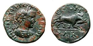 *AET* PARIUM AE20�i�Z�E�F���X�E�A���N�T���_�[�j�BEF-�B���T�Ƒo�q�B