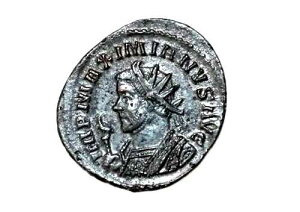 �}�N�V�~�A�k�X�E�w���N���E�X AE �A���g�j�j�A�k�X ��25MM: 2.8�O����: ��