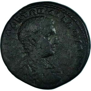 �y#1067178�z�R�C���A���G�V�A�E�C���t�F���I���A�f�B�A�h�D���j�A���A?�A217-218�A�j�R�|���X�E�A�h�E�C�X�g�����A -